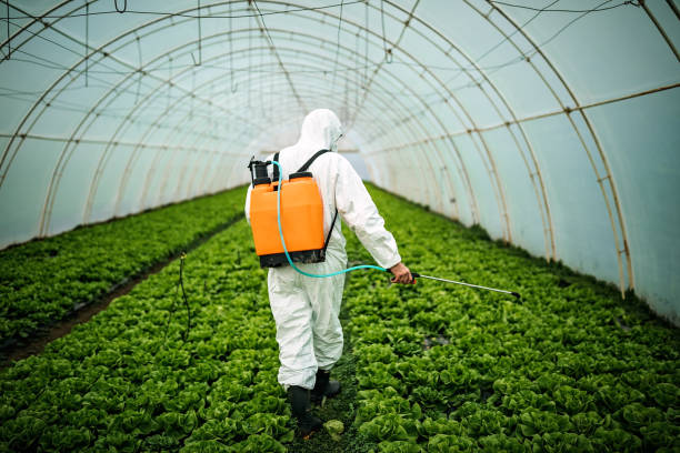 Best Best Pest Control Companies  in Granville, WV
