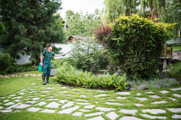 Best Residential Pest Control  in Granville, WV