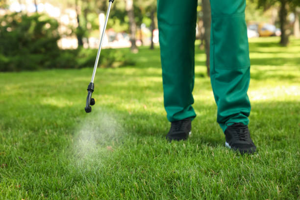 Best Pest Control Near Me  in Granville, WV