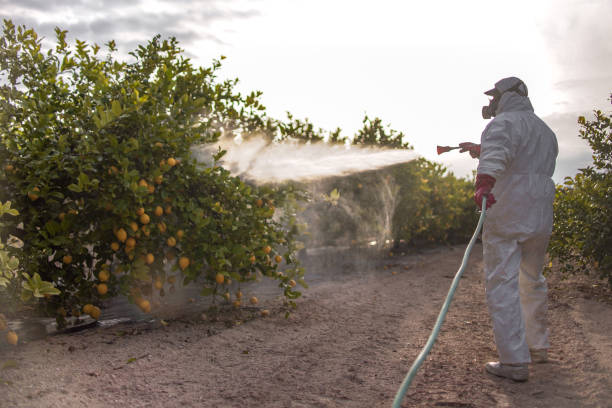 Best Pest Inspection Near Me  in Granville, WV