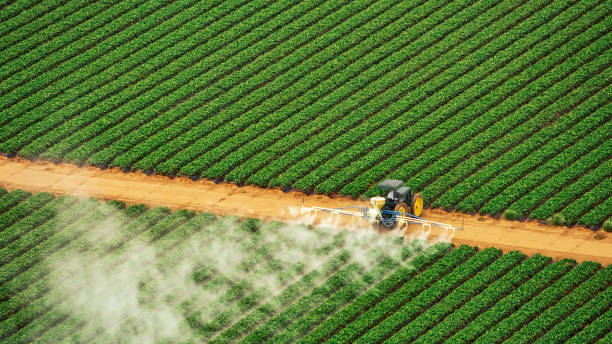 Best Pest Prevention Services  in Granville, WV