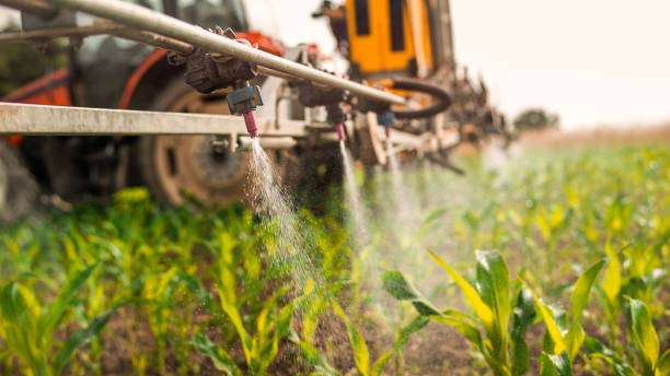 Best Pest Control Cost  in Granville, WV