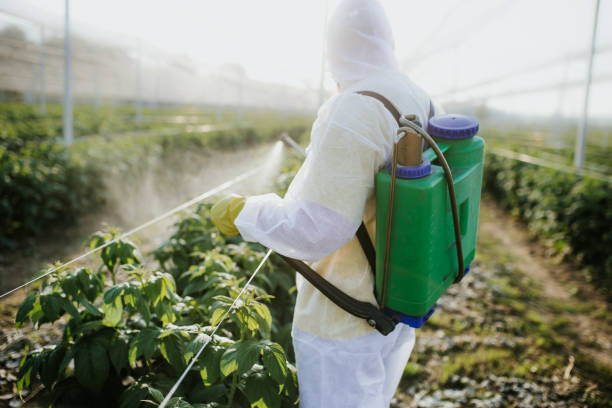 Best Commercial Pest Control Services  in Granville, WV